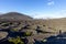 Viniculture in region La Geria on canary island Lanzarote: Vine planted in round cones in the volcanic ash