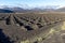 Viniculture in region La Geria on canary island Lanzarote: Vine planted in round cones in the volcanic ash