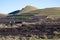 Viniculture in region La Geria on canary island Lanzarote: Vine planted in round cones in the volcanic ash