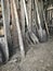 Vintage agricultural tools stand in a row in a wooden barn: rakes, hoes, pitchfork, shovels and more