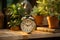 Vintage alarm clock and houseplant decorate rustic wooden tabletop