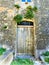 Vintage ancient door, history, time, memory and hanging plants