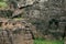 Vintage Ancient Rock Cut And Votive Stupas At Langudi Hillock