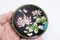 Vintage antique Chinese enamel cloisonne plate