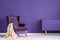 Vintage armchair, beige blanket and cabinet set on a violet wall