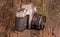 Vintage Asahi Pentax Spotmatic SLR Camera