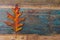 Vintage autumn leaves with patina background