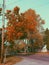 Vintage autumn neighborhood