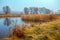 Vintage autumn rural landscape. The lake overgrown with reeds