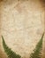 Vintage background with dry plant fern on old paper