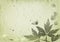 Vintage background with floral elements