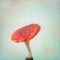 Vintage background with fly agaric