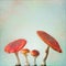 Vintage background with fly agaric