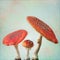 Vintage background with fly agaric