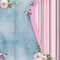 Vintage background with pink roses, butterfly