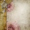 Vintage background with roses, lace, text