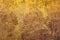 Vintage background of rusty metal sheet with exfoliating yellow paint.