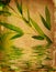 Vintage bamboo background