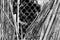 Vintage bamboo rattan close-up of a dilapidated retro worn fence held together with rusted wire, chain link fence in background, b