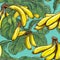 Vintage Banana Drawing With Contrasting Color Border