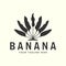 vintage banana tree style logo vector template icon illustration design