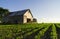 Vintage barn in the afternoon light.