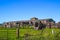 Vintage Barn & Wooden Fencing With Cattle Ramp In Disrepair