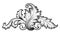 Vintage baroque floral scroll ornament vector