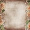Vintage beautiful background with   roses, lace, pearls