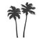 Vintage beautiful palm trees