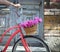 Vintage bicycle with basket with peony flowers