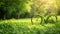 Vintage bicycle overtaken by greenery, creating a whimsical scene in a lush meadow.