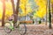 Vintage bicycle parking in autumn park. Vivid autumn leaves.