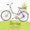 Vintage bicycle with spring seedlings