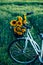 Vintage bicycle with sunflowers