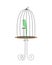 Vintage bird cage standing on the table, domestic animal cozy home concept