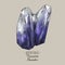 Vintage birthstones, Tanzanite gemstone, December magic illustration