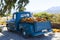 A vintage blue pickup truck loaded with colorful pumpkins