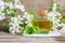 Vintage bottle with cork with essential oil tincture, infusion, perfume on the old wooden background. White flowers close up.