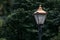 Vintage brass lamp post in Phoenix Park, Dublin, Ireland on a rainy day