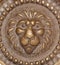 Vintage brass lion abstract