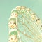 Vintage Bright Ferris Wheel