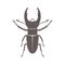 Vintage brown deer beetle emblem