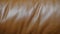 Vintage brown leather luxury sofa texture 4k clip video