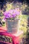 Vintage bucket with campanula flowers on garden background