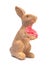 Vintage bunny toy isolated