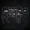 Vintage butcher cuts of beef menu chalk vector