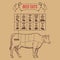 Vintage butcher cuts of beef scheme vector