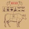 Vintage butcher cuts of beef scheme vector