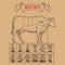 Vintage butcher cuts of beef scheme vector